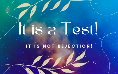 THE SACRED RESISTANCE